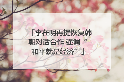 李在明再提恢复韩朝对话合作 强调“和平就是经济”