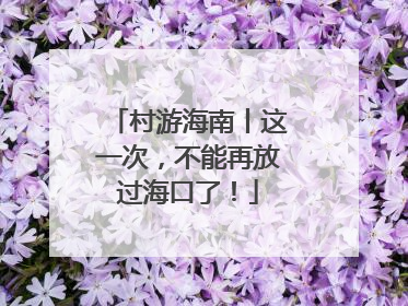 村游海南丨这一次，不能再放过海口了！