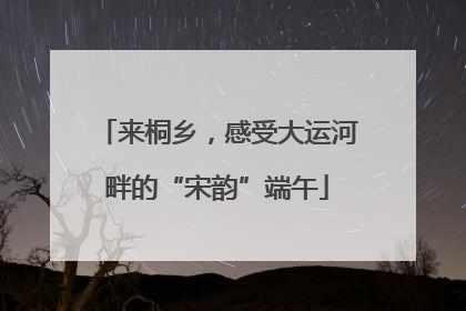 来桐乡，感受大运河畔的“宋韵”端午