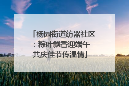 杨园街道纺器社区：粽叶飘香迎端午 共庆佳节传温情