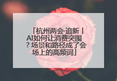 杭州两会·追新丨AI如何让消费突围？场景和路径成了会场上的高频词