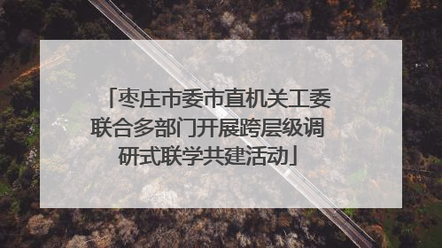 枣庄市委市直机关工委联合多部门开展跨层级调研式联学共建活动