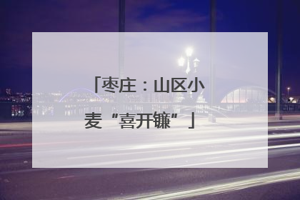 枣庄：山区小麦“喜开镰”