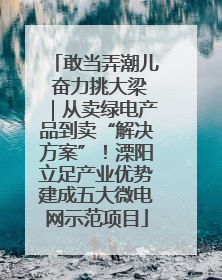 敢当弄潮儿 奋力挑大梁｜从卖绿电产品到卖“解决方案”！溧阳立足产业优势建成五大微电网示范项目