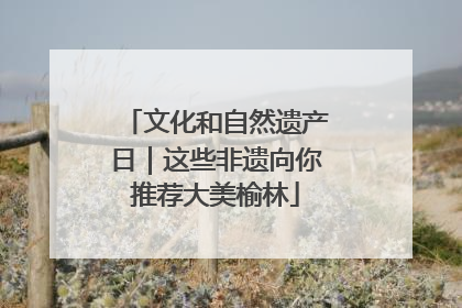 文化和自然遗产日｜这些非遗向你推荐大美榆林
