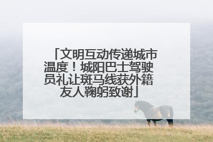 文明互动传递城市温度！城阳巴士驾驶员礼让斑马线获外籍友人鞠躬致谢