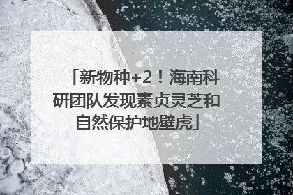 新物种+2！海南科研团队发现素贞灵芝和自然保护地壁虎