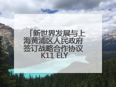 新世界发展与上海黄浦区人民政府签订战略合作协议 K11 ELYSEA璀璨启幕