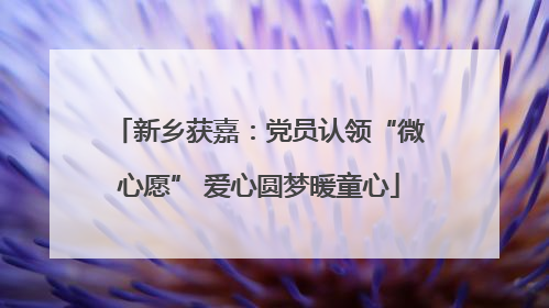 新乡获嘉：党员认领“微心愿” 爱心圆梦暖童心