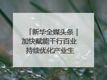 新华全媒头条｜加快赋能千行百业 持续优化产业生态——浙江推动人工智能健康有序发展观察