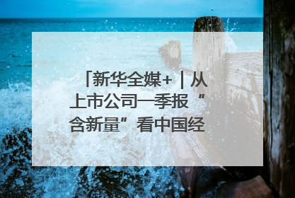 新华全媒+｜从上市公司一季报“含新量”看中国经济发展向“新”