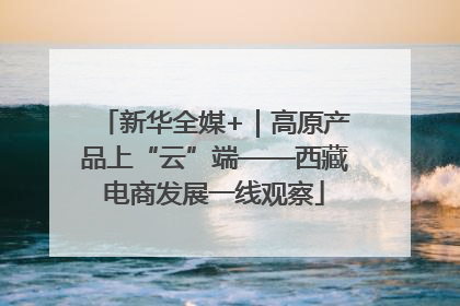 新华全媒+｜高原产品上“云”端——西藏电商发展一线观察