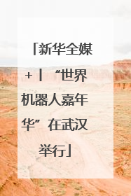新华全媒+丨“世界机器人嘉年华”在武汉举行