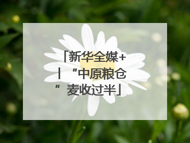新华全媒+丨“中原粮仓”麦收过半
