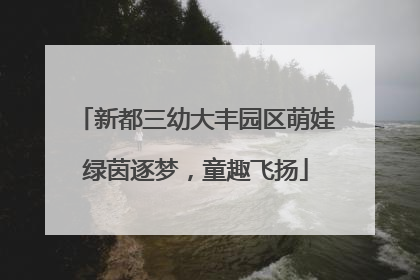 新都三幼大丰园区萌娃绿茵逐梦，童趣飞扬