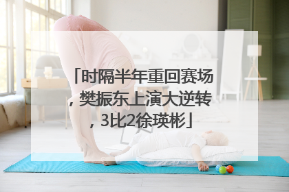 时隔半年重回赛场，樊振东上演大逆转，3比2徐瑛彬
