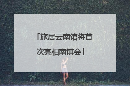 旅居云南馆将首次亮相南博会