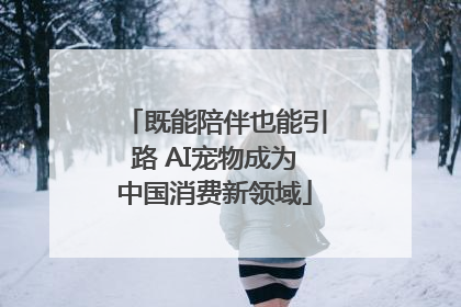 既能陪伴也能引路 AI宠物成为中国消费新领域