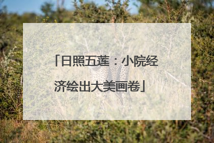 日照五莲：小院经济绘出大美画卷