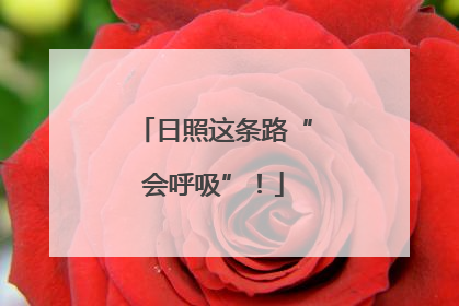 日照这条路“会呼吸”！