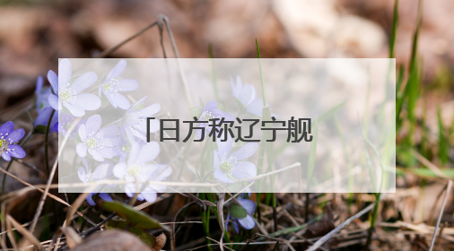 日方称辽宁舰经过日南部岛屿前往西太平洋，外交部回应
