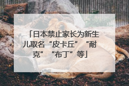 日本禁止家长为新生儿取名“皮卡丘”“耐克”“布丁”等