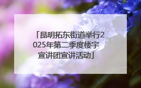 昆明拓东街道举行2025年第二季度楼宇宣讲团宣讲活动