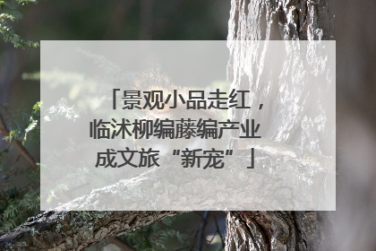 景观小品走红，临沭柳编藤编产业成文旅“新宠”