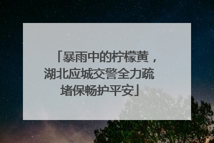 暴雨中的柠檬黄，湖北应城交警全力疏堵保畅护平安
