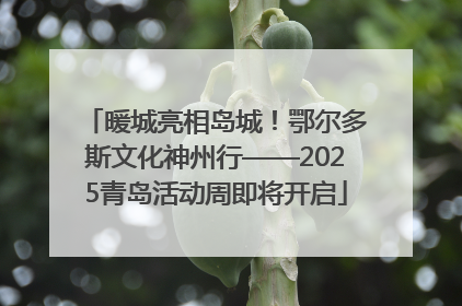 暖城亮相岛城！鄂尔多斯文化神州行——2025青岛活动周即将开启
