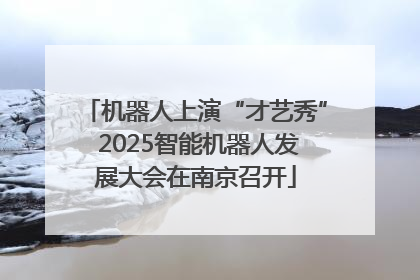 机器人上演“才艺秀” 2025智能机器人发展大会在南京召开
