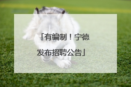 有编制！宁德发布招聘公告