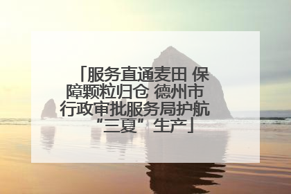 服务直通麦田 保障颗粒归仓 德州市行政审批服务局护航“三夏”生产