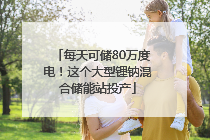 每天可储80万度电！这个大型锂钠混合储能站投产