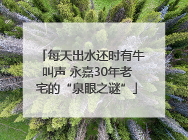 每天出水还时有牛叫声 永嘉30年老宅的“泉眼之谜”
