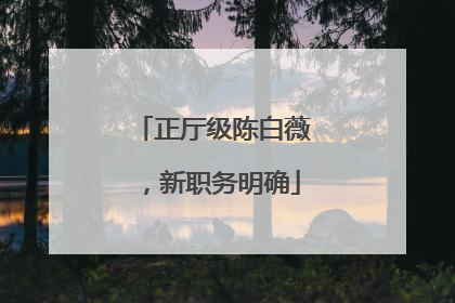 正厅级陈白薇，新职务明确