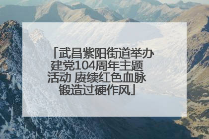 武昌紫阳街道举办建党104周年主题活动 赓续红色血脉锻造过硬作风