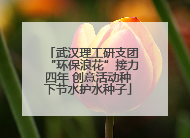 武汉理工研支团“环保浪花”接力四年 创意活动种下节水护水种子