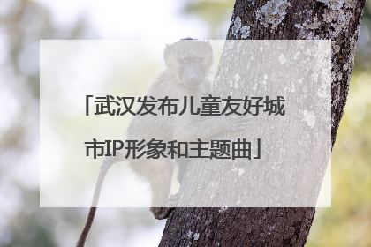 武汉发布儿童友好城市IP形象和主题曲