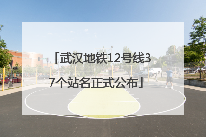 武汉地铁12号线37个站名正式公布