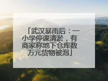 武汉暴雨后：一小学停课清淤，有商家称地下仓库数万元货物被泡
