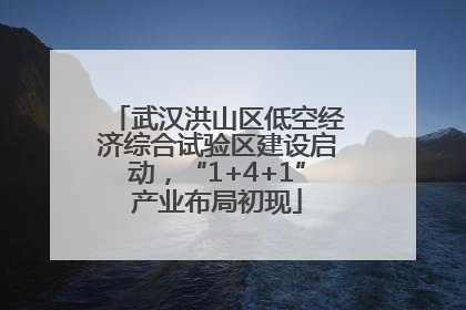 武汉洪山区低空经济综合试验区建设启动，“1+4+1”产业布局初现