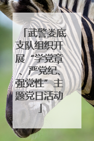 武警娄底支队组织开展“学党章、严党纪、强党性”主题党日活动
