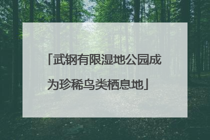 武钢有限湿地公园成为珍稀鸟类栖息地