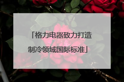 格力电器致力打造制冷领域国际标准