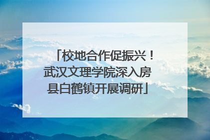 校地合作促振兴！武汉文理学院深入房县白鹤镇开展调研