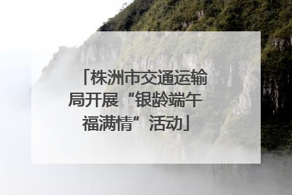 株洲市交通运输局开展“银龄端午福满情”活动