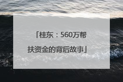 桂东：560万帮扶资金的背后故事