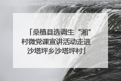 桑植县选调生“湘”村微党课宣讲活动走进沙塔坪乡沙塔坪村