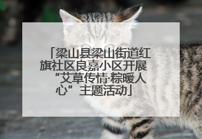 梁山县梁山街道红旗社区良嘉小区开展“艾草传情·粽暖人心”主题活动